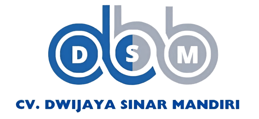 DSM-LOGO